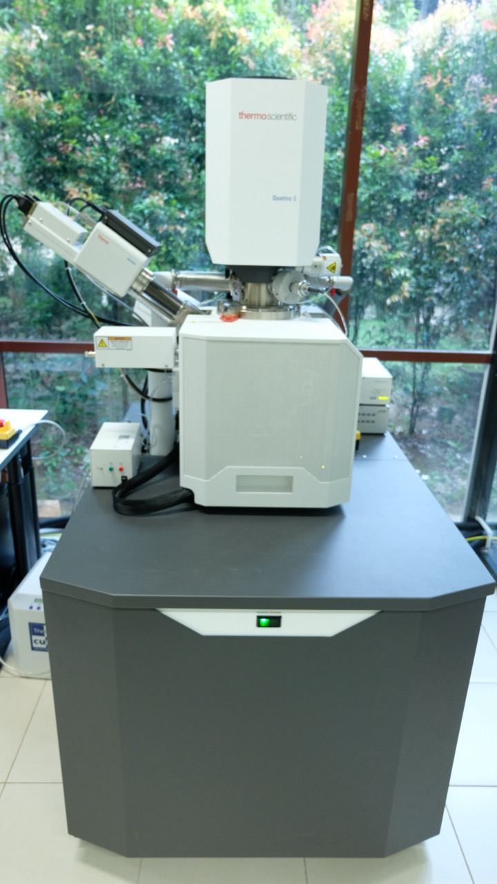 Field Emission - Scanning Electron Microscope (FE-SEM)
